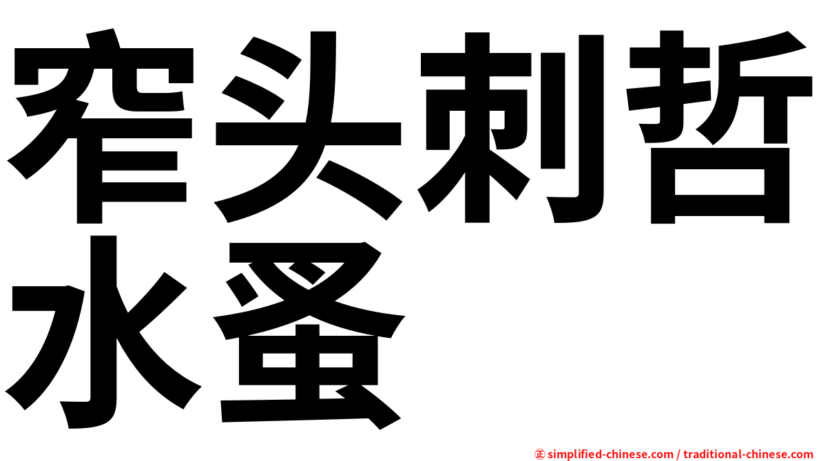 窄头刺哲水蚤