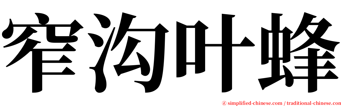 窄沟叶蜂 serif font