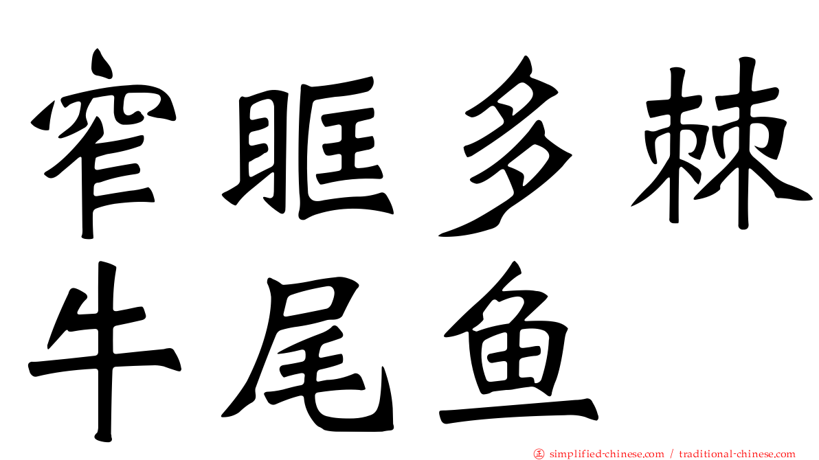窄眶多棘牛尾鱼
