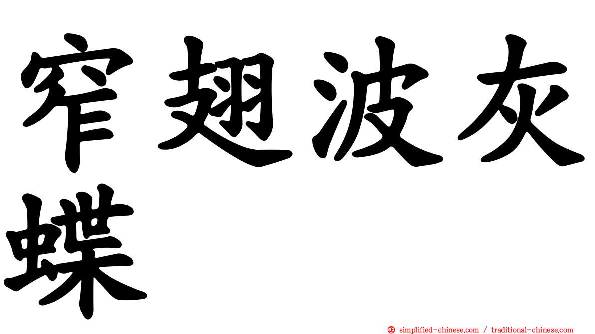 窄翅波灰蝶
