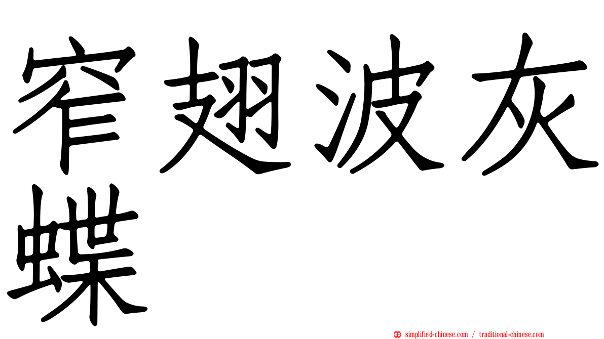 窄翅波灰蝶