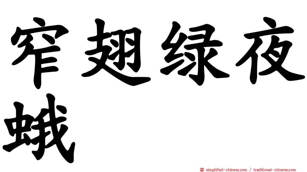 窄翅绿夜蛾