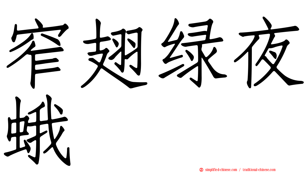 窄翅绿夜蛾