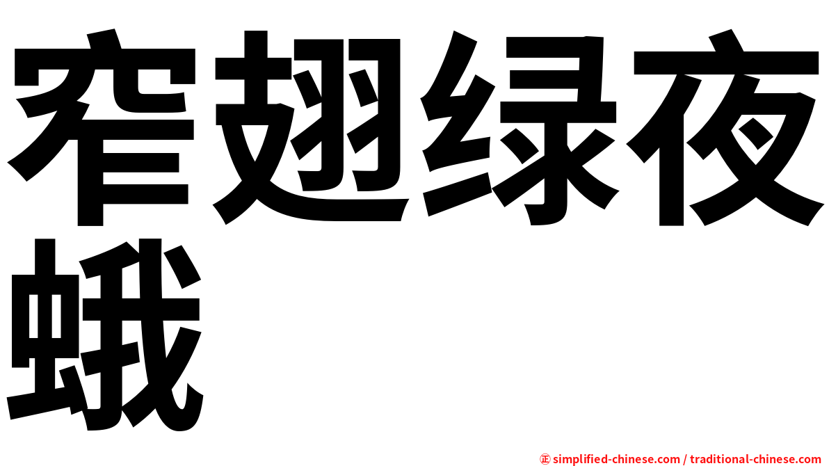 窄翅绿夜蛾