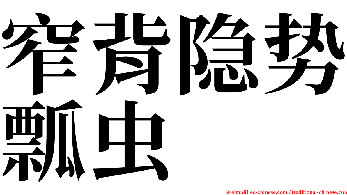 窄背隐势瓢虫 serif font