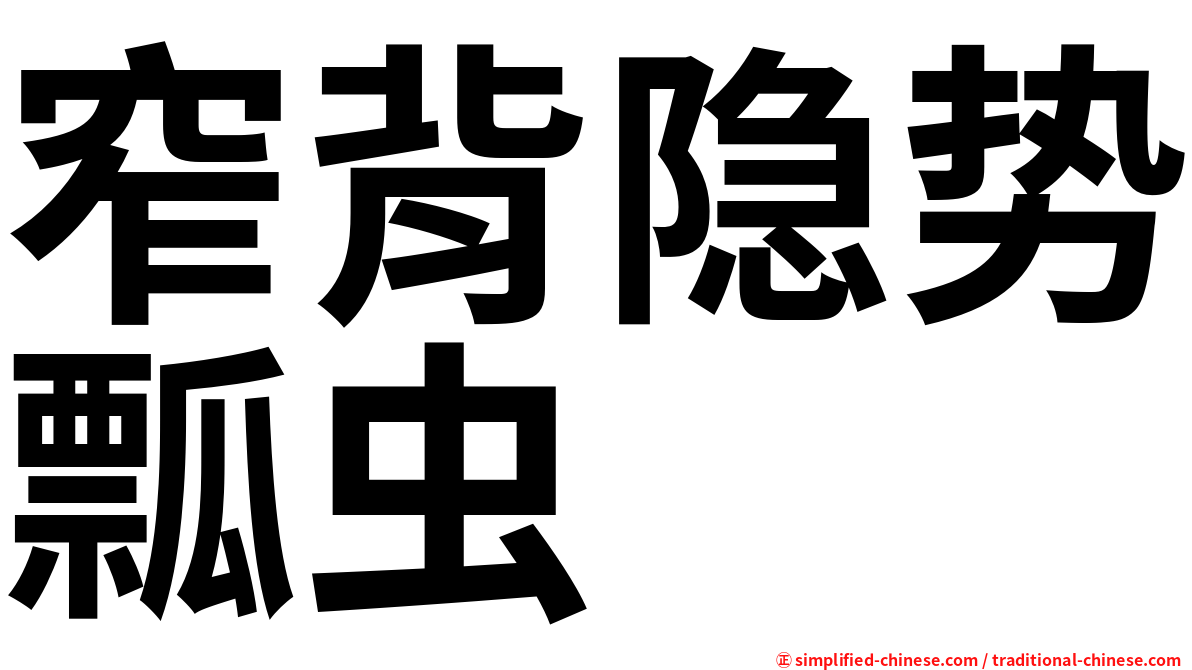 窄背隐势瓢虫