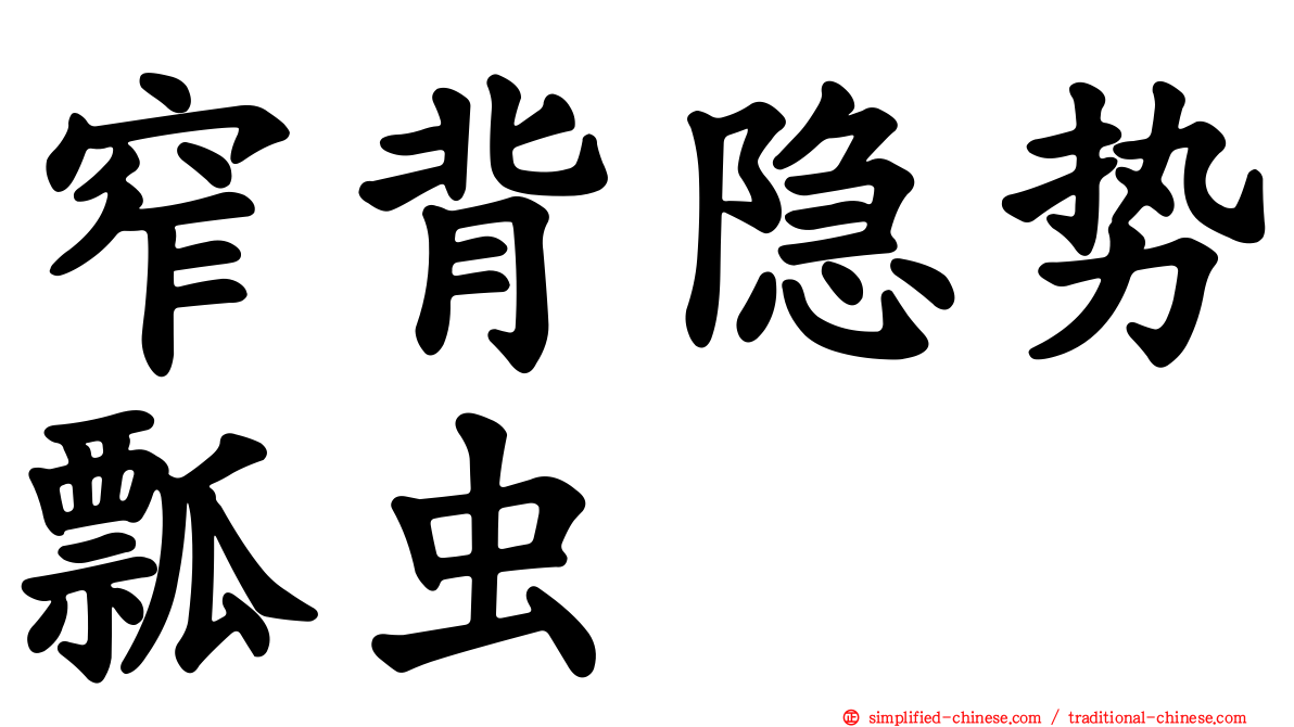 窄背隐势瓢虫
