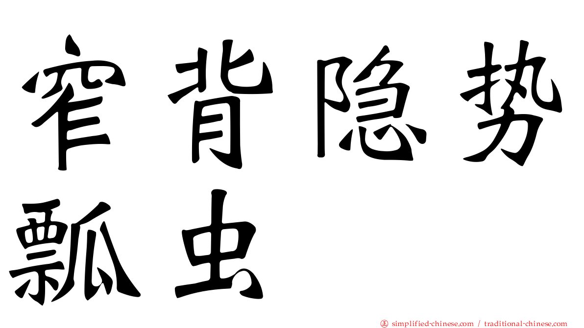 窄背隐势瓢虫