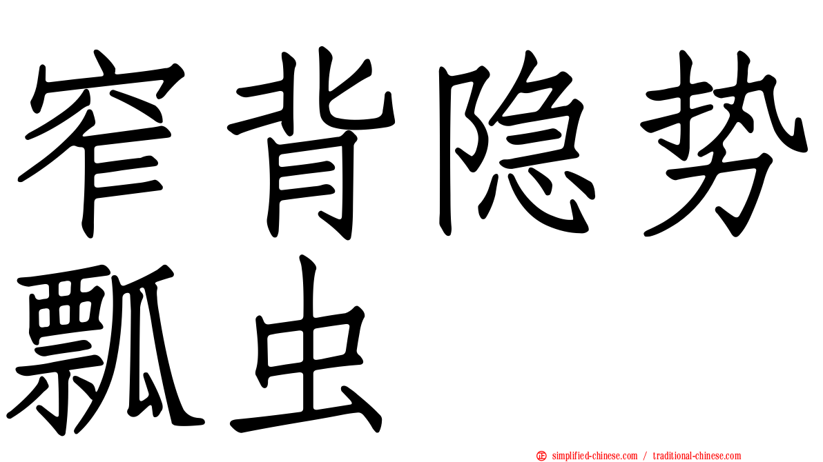 窄背隐势瓢虫