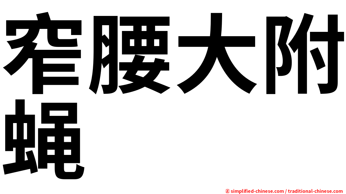 窄腰大附蝇