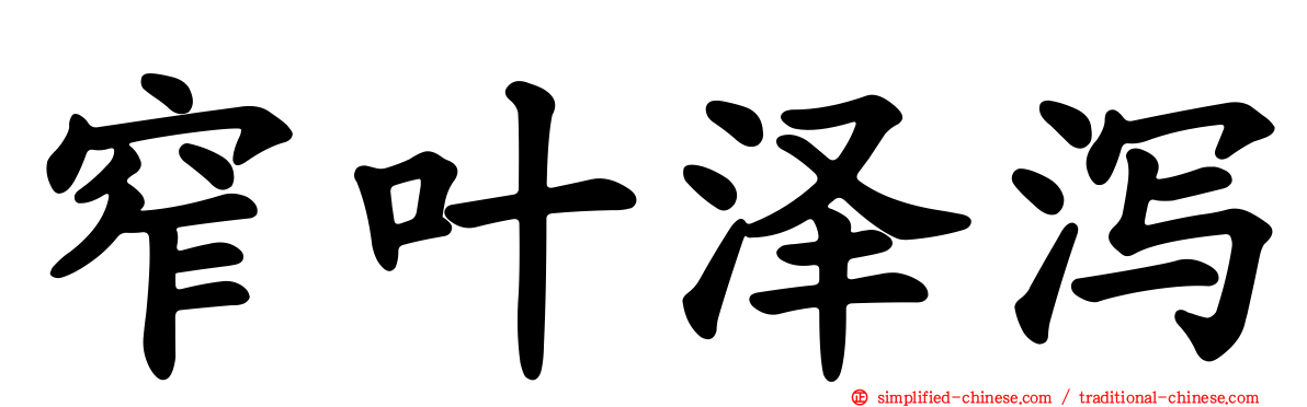 窄叶泽泻