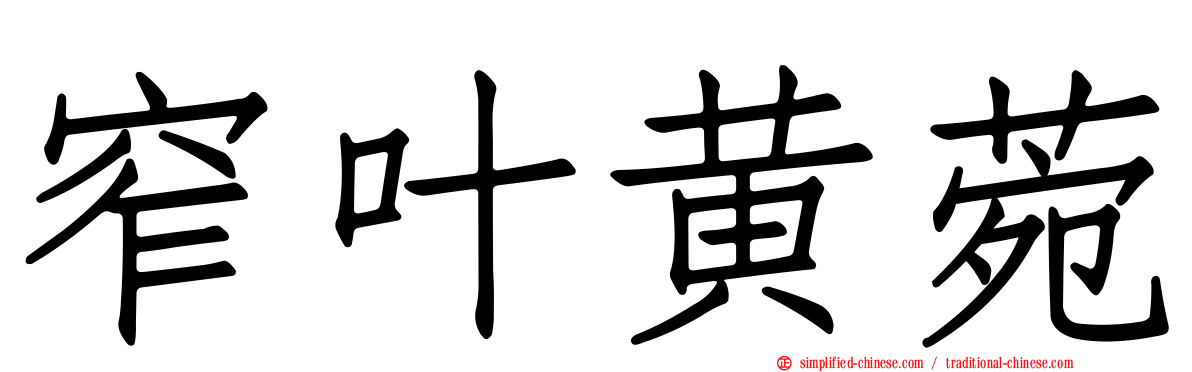 窄叶黄菀