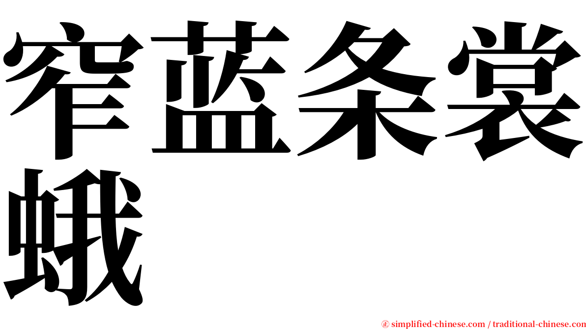 窄蓝条裳蛾 serif font