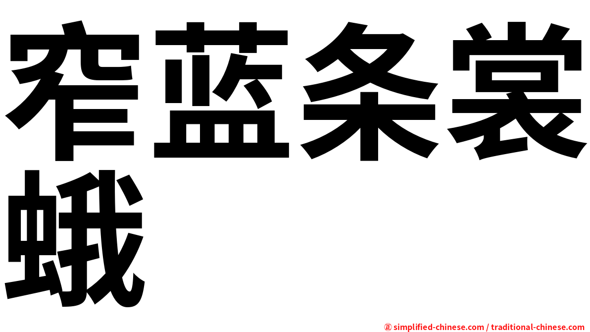 窄蓝条裳蛾