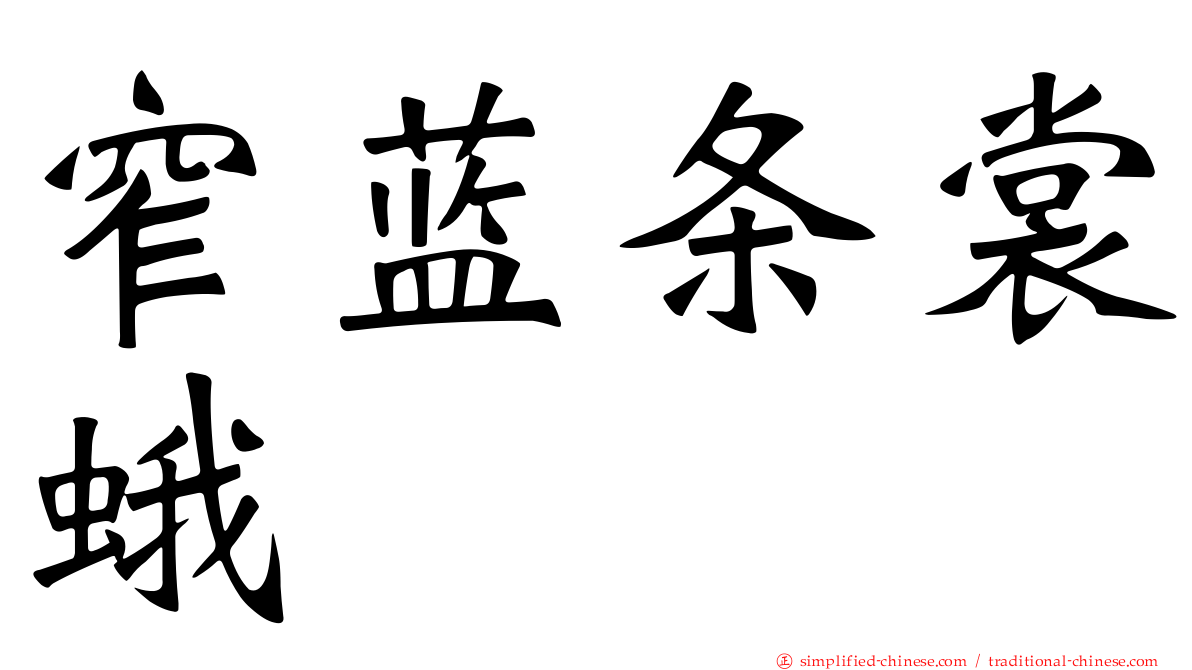 窄蓝条裳蛾