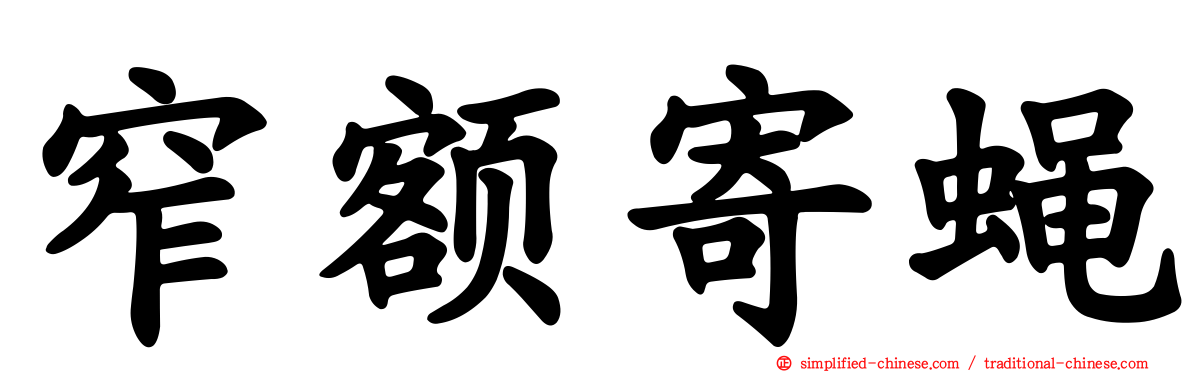 窄额寄蝇