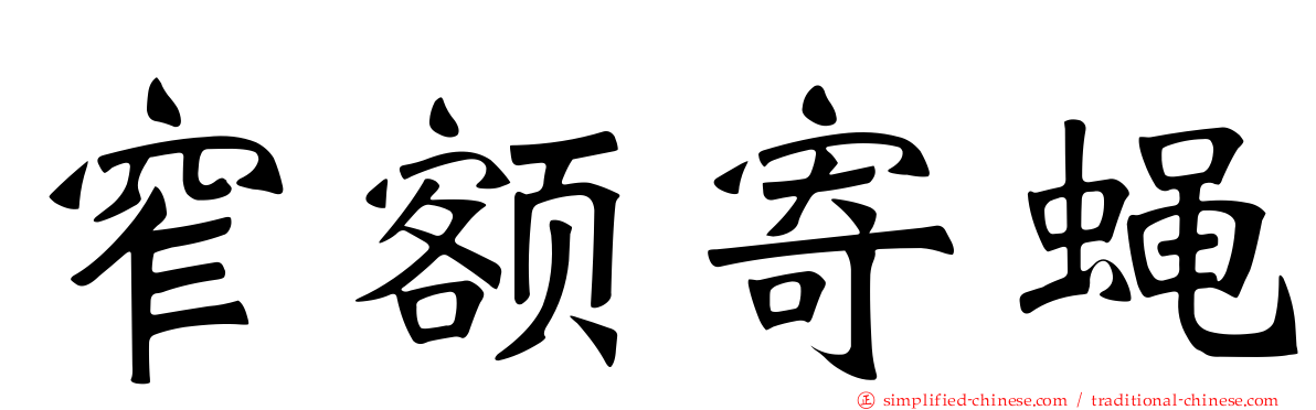 窄额寄蝇