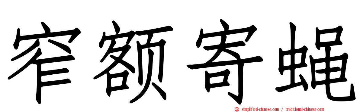 窄额寄蝇