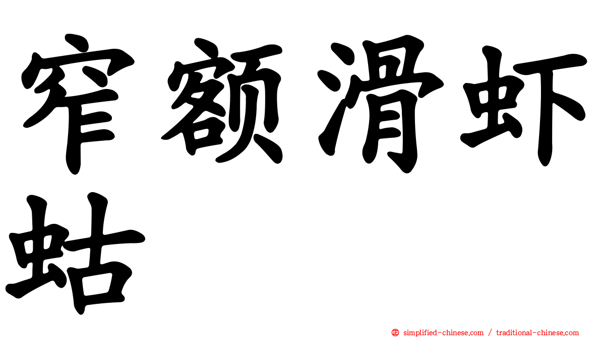 窄额滑虾蛄