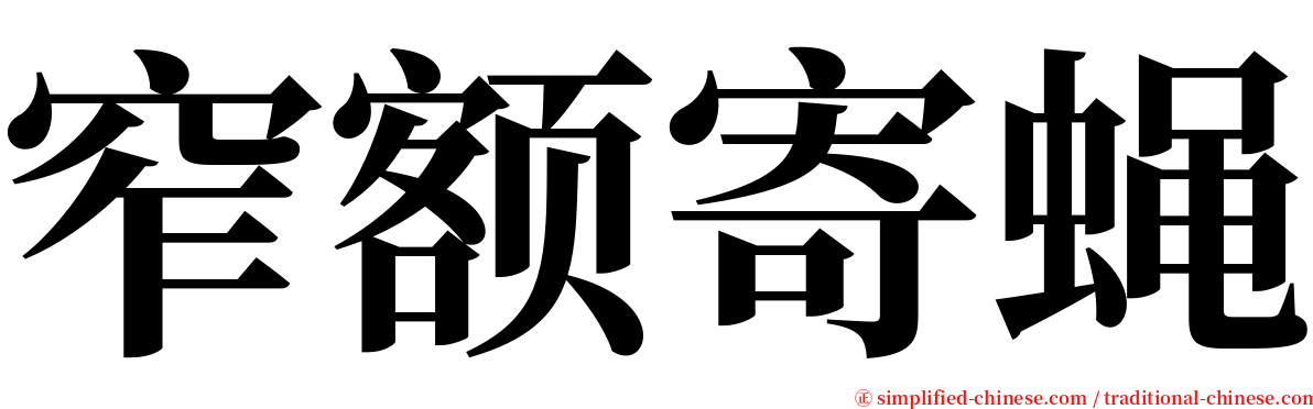 窄额寄蝇 serif font