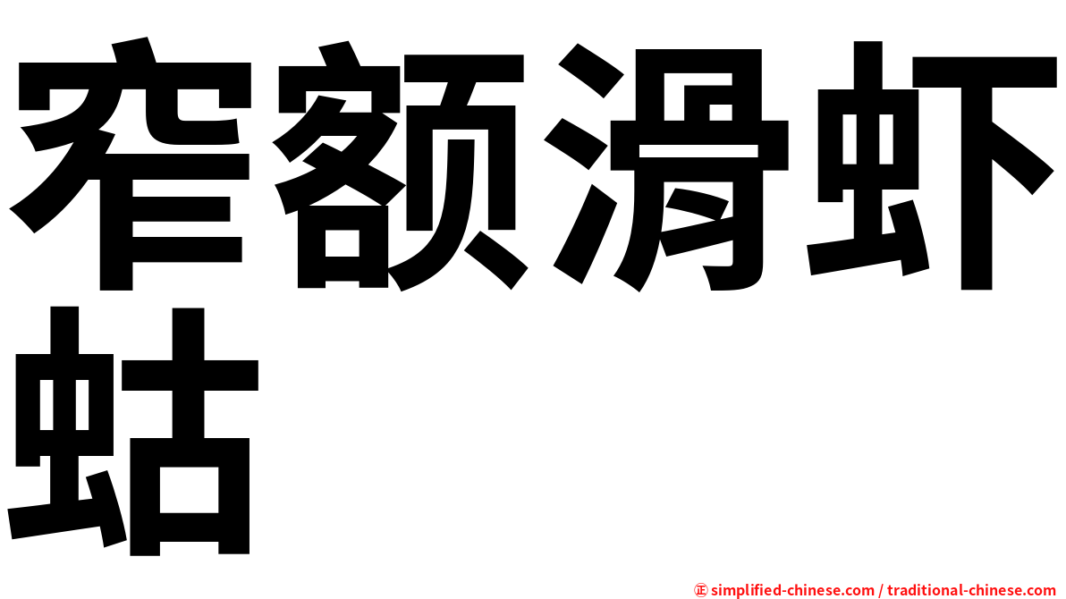 窄额滑虾蛄