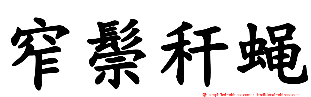 窄鬃秆蝇