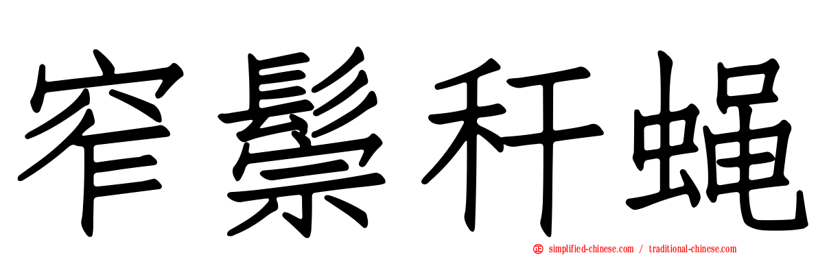 窄鬃秆蝇