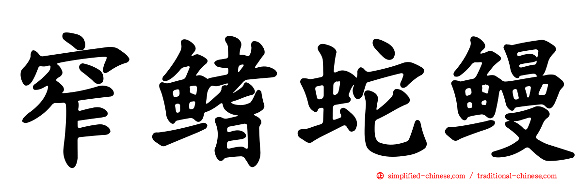 窄鳍蛇鳗