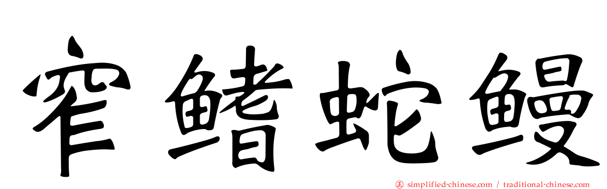 窄鳍蛇鳗