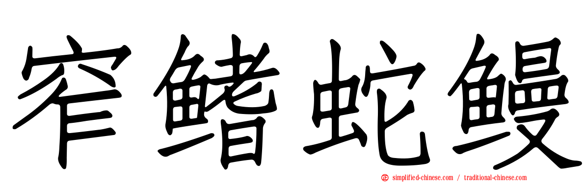 窄鳍蛇鳗