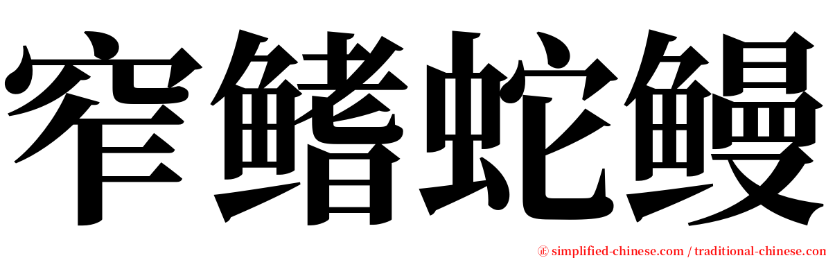 窄鳍蛇鳗 serif font