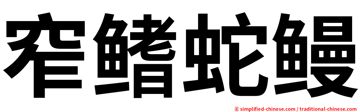 窄鳍蛇鳗