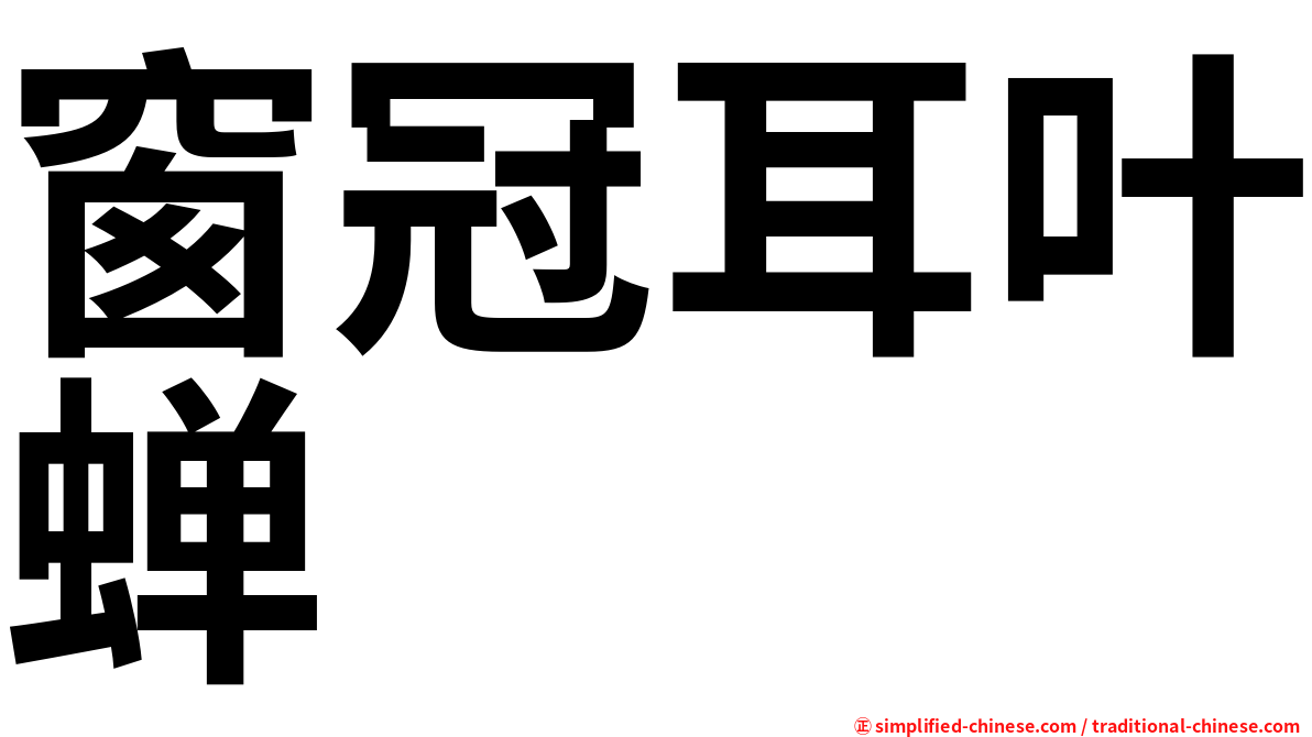 窗冠耳叶蝉