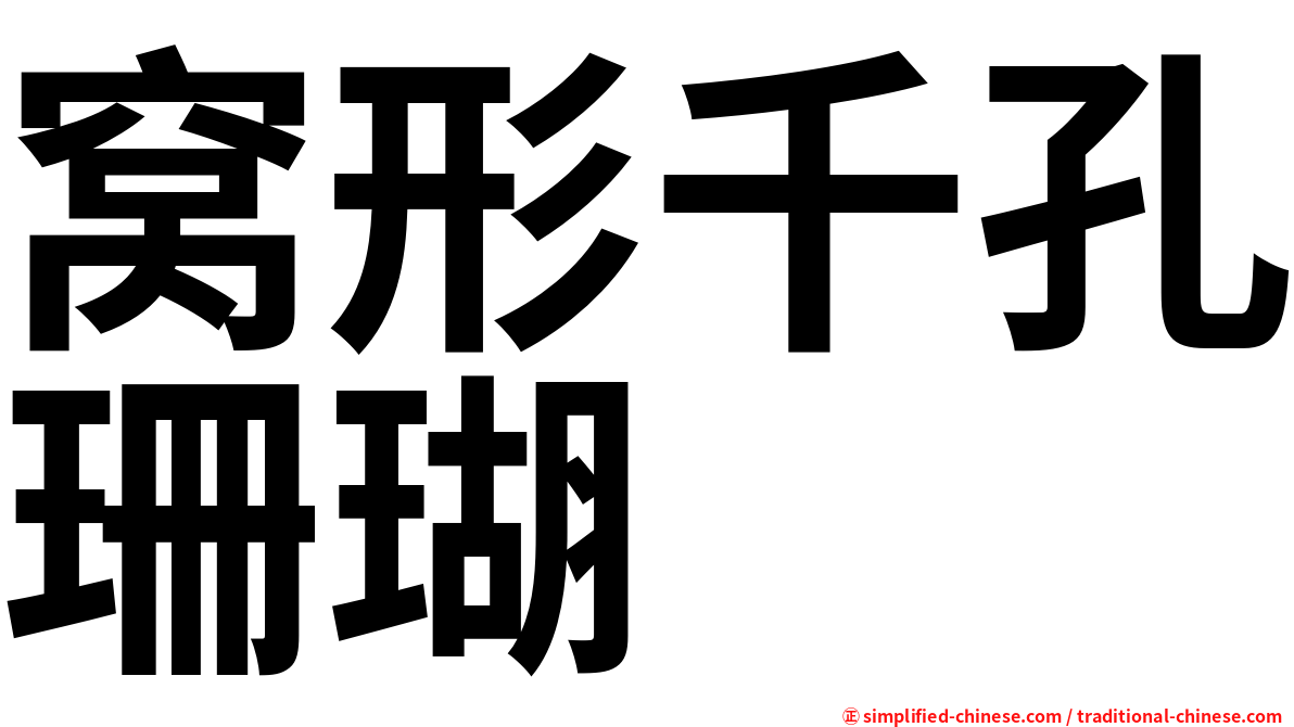 窝形千孔珊瑚