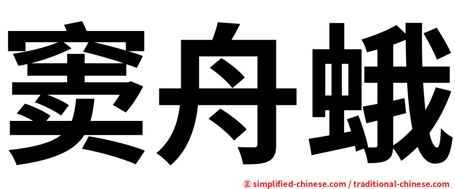 窦舟蛾