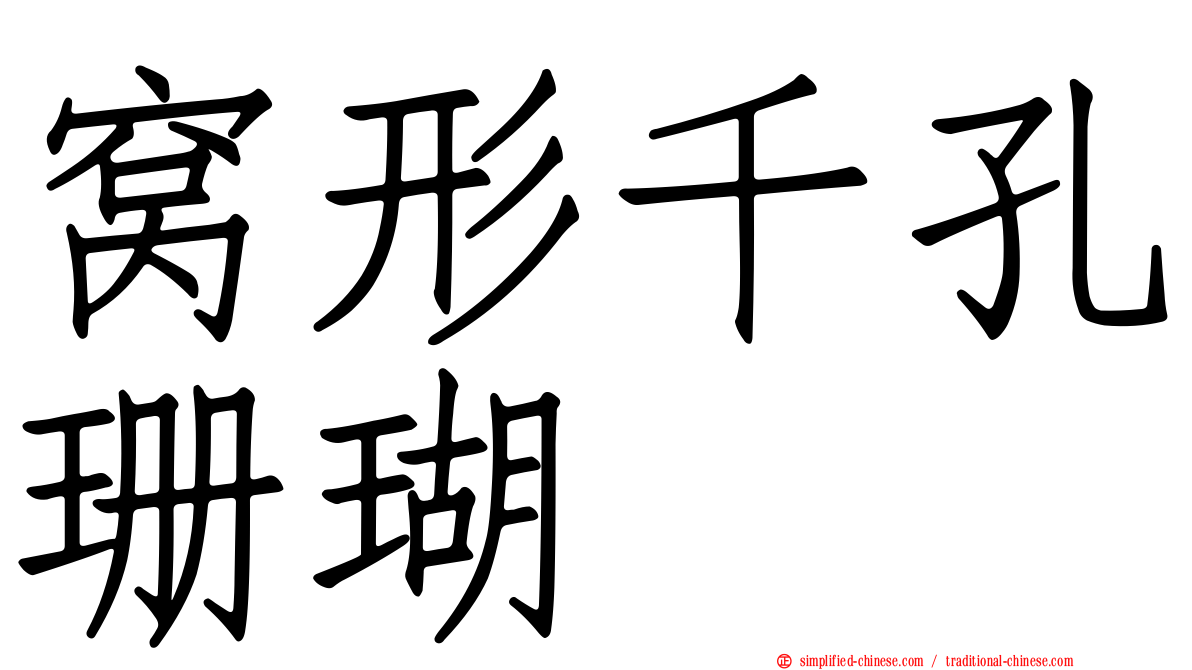 窝形千孔珊瑚