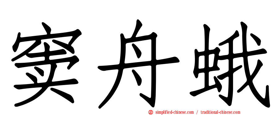 窦舟蛾