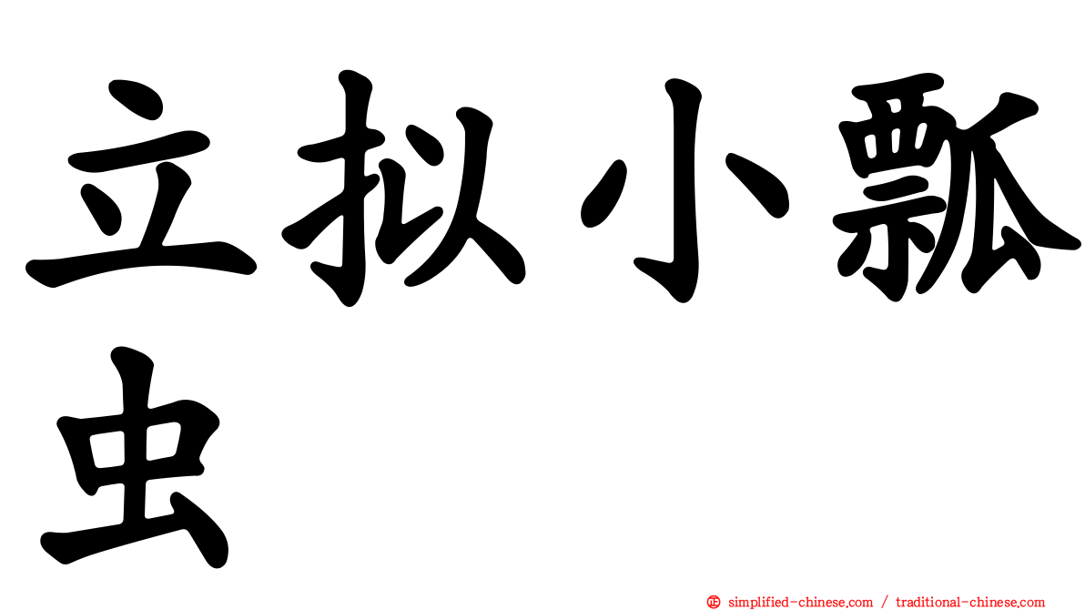 立拟小瓢虫