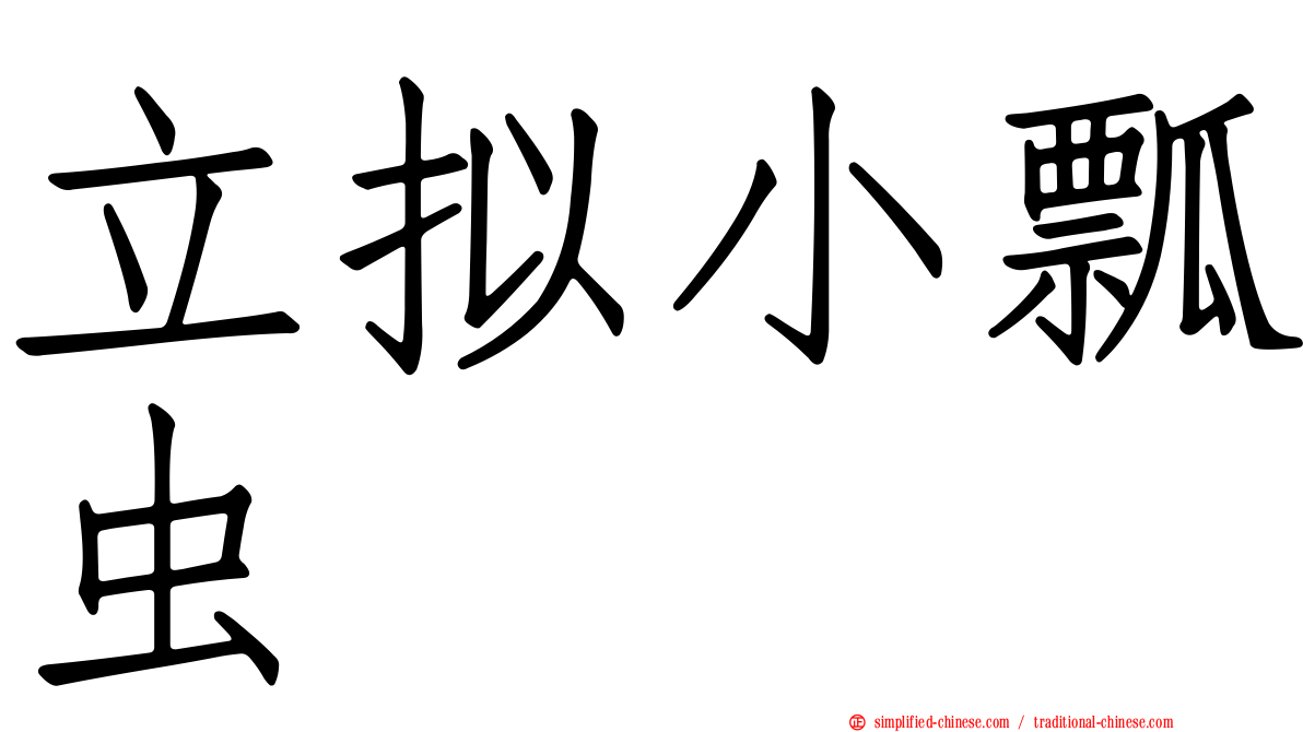 立拟小瓢虫