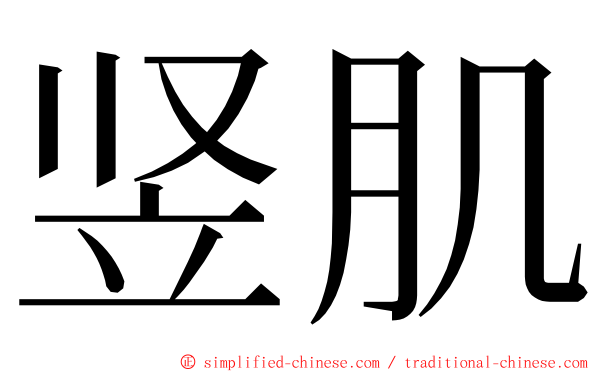 竖肌 ming font