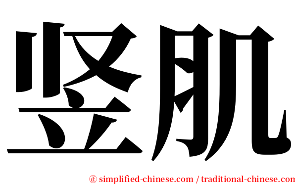 竖肌 serif font