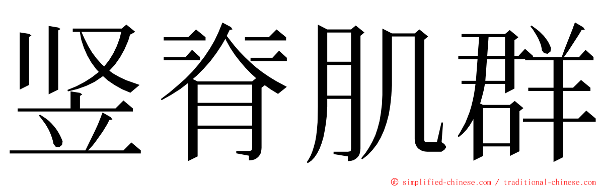 竖脊肌群 ming font