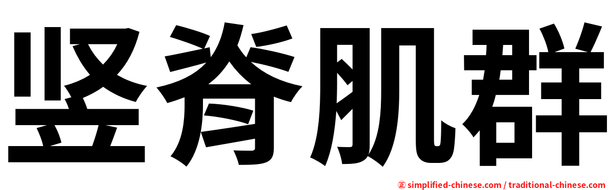 竖脊肌群