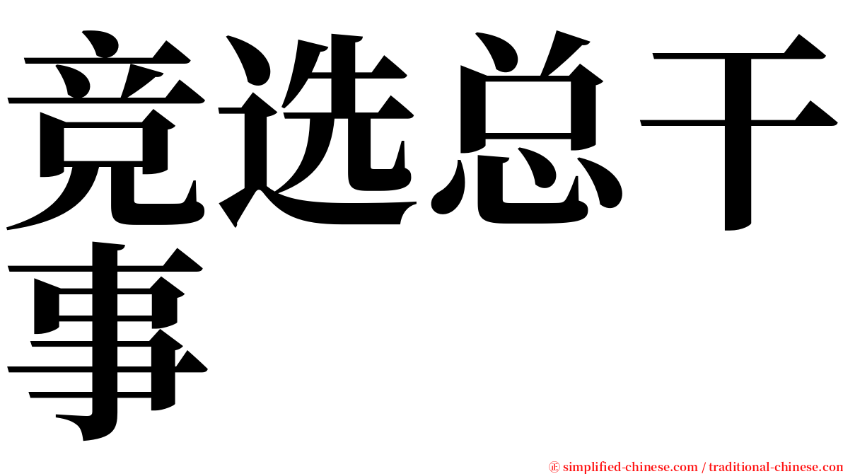 竞选总干事 serif font