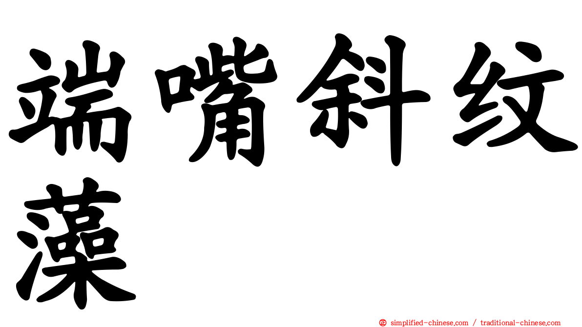 端嘴斜纹藻
