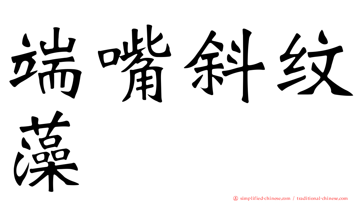 端嘴斜纹藻