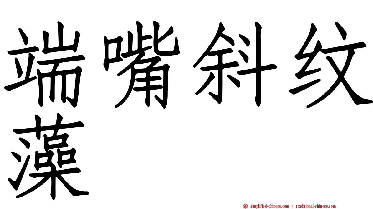 端嘴斜纹藻