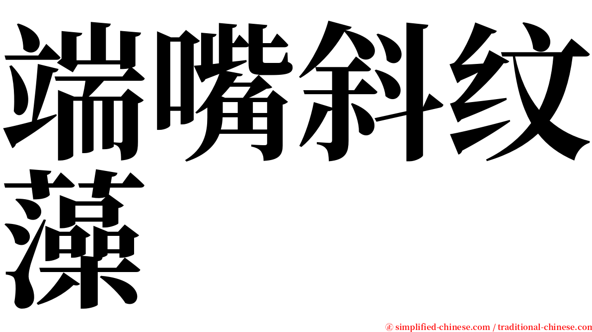 端嘴斜纹藻 serif font