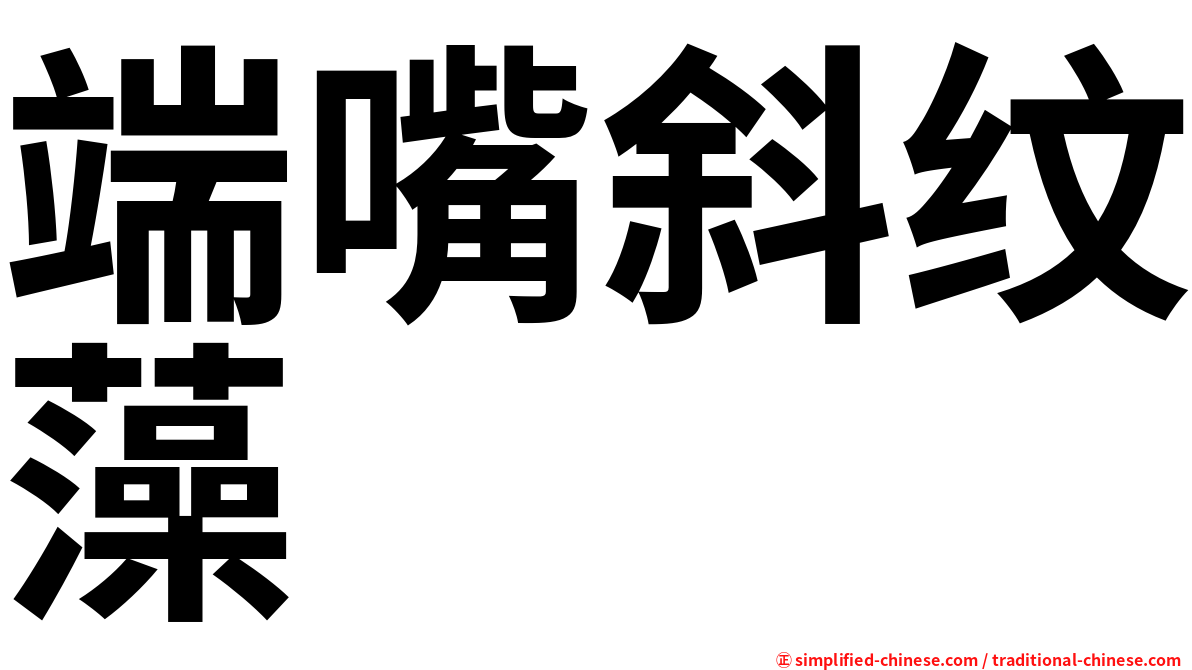 端嘴斜纹藻