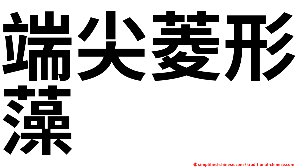 端尖菱形藻